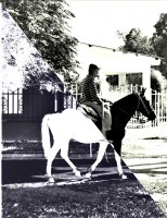 /album/eduardo-fotos/elpasadoregresa-jpg1/