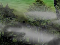 /album/eduardo-fotos/niebla-jpg/