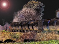 /album/eduardo-fotos/tren-jpg1/