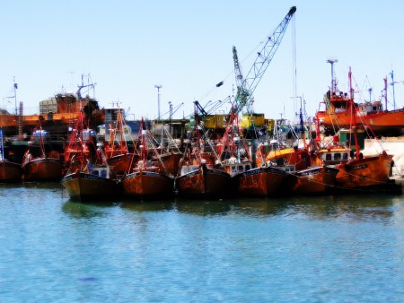 PUERTO MAR DEL PLATA  EDICIÓN OLEO